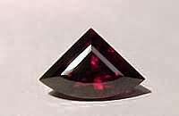 Sparkling Red Pie Shaped Garnet